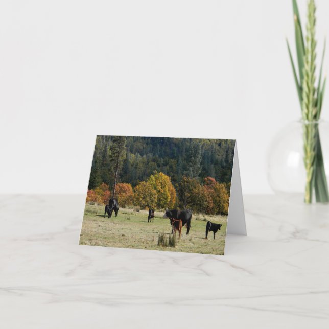 Cattle in the country... card (Front)