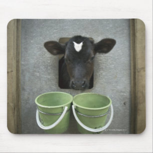 Cattle, Individual Pen Mouse Pad