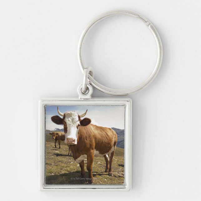 Cattle Key Ring (Front)
