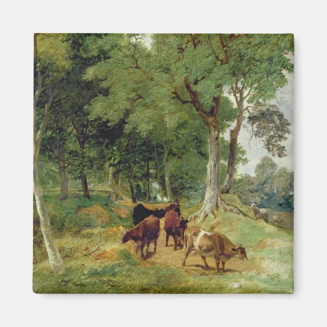 Cattle on a Devonshire Lane Magnet (Front)