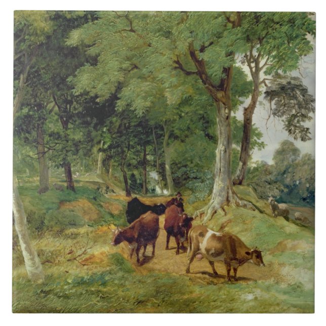 Cattle on a Devonshire Lane Tile (Front)