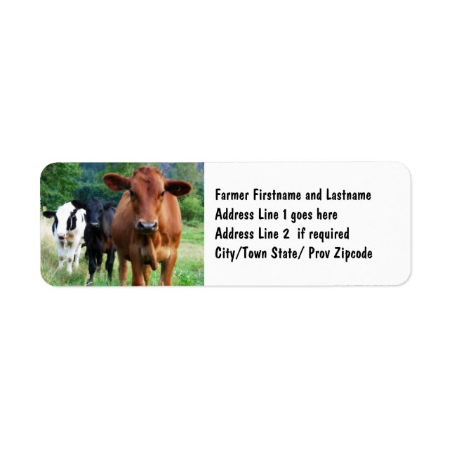 Cattle on Field Return Address Label (Front)