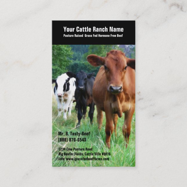 Cattle on Pasture Business Card (Front)