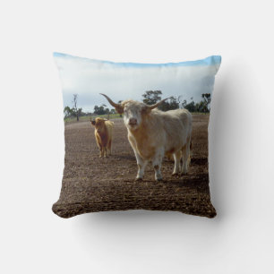 Cattle on the Loose: Highland Cows Wheat Heist Cushion