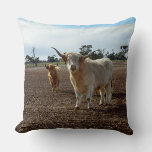 Cattle on the Loose: Highland Cows Wheat Heist Cushion