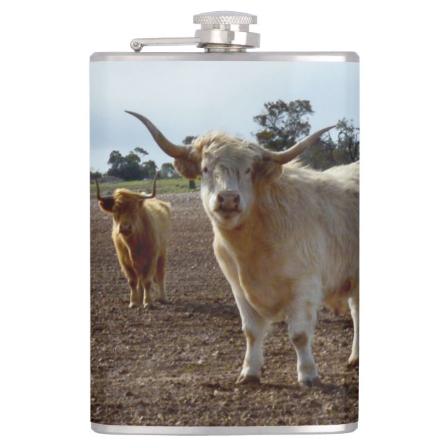 Cattle on the Loose: Highland Cows Wheat Heist Hip Flask (Front)