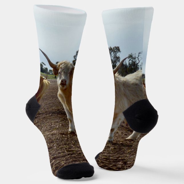 Cattle on the Loose: Highland Cows Wheat Heist Socks (Angled)