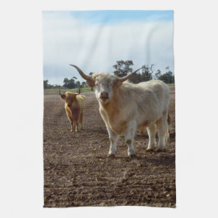 Cattle on the Loose: Highland Cows Wheat Heist Tea Towel