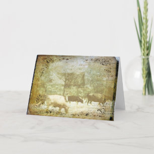 Cattle Pasture Grunge Card