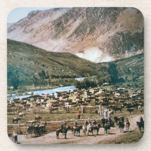 Cattle Ranch, Colorado, 1899 (photo) Coaster