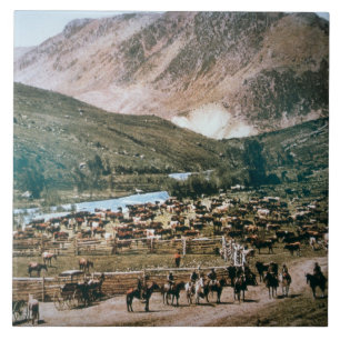 Cattle Ranch, Colorado, 1899 (photo) Tile