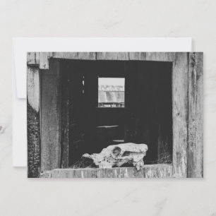 Cattle ranch  holiday card