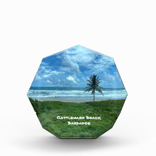 Cattlewash Beach, Barbados Photo Block