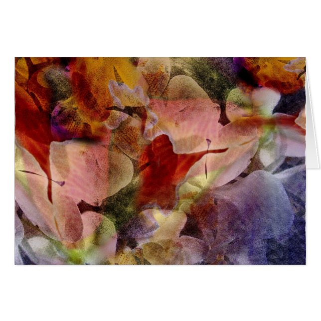 Cattleya and phalaenopsis orchids - Card (Front Horizontal)