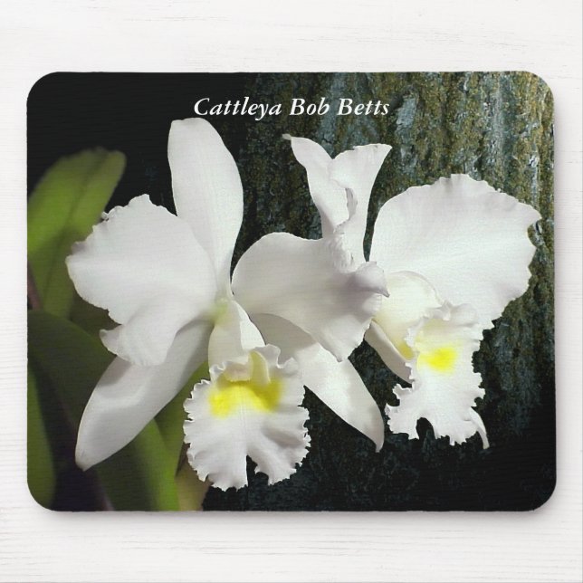 Cattleya Bob Betts Mouse Pad (Front)