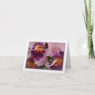 Cattleya Hybrid Orchid Thinking of You Note Card