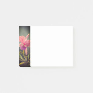 Cattleya Orchid and Three Hummingbirds Heade Post-it Notes