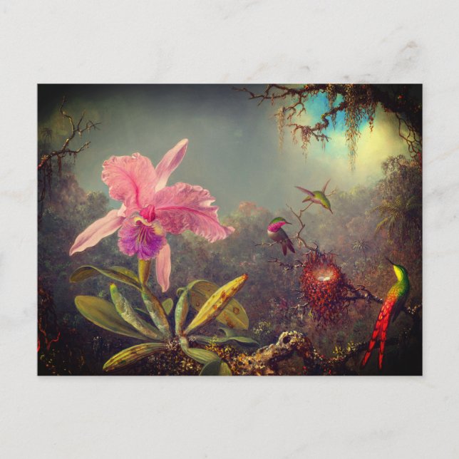 Cattleya Orchid and Three Hummingbirds Heade Postcard (Front)