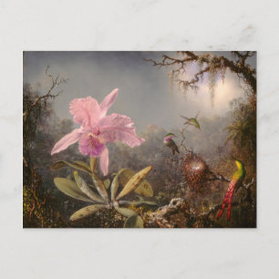 Cattleya Orchid and Three Hummingbirds Postcard