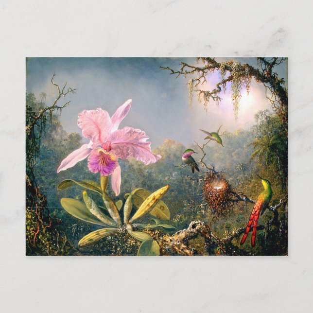 Cattleya Orchid and Three Hummingbirds Postcard (Front)