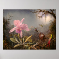 Cattleya Orchid and Three Hummingbirds