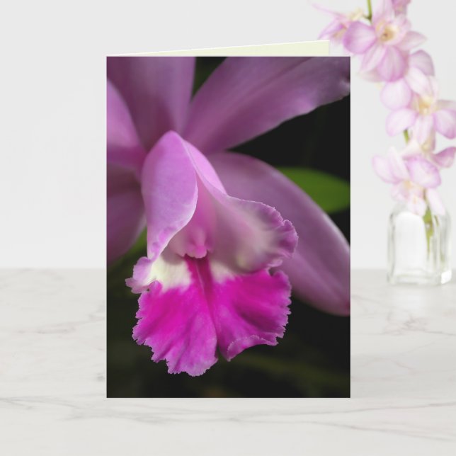 Cattleya Orchid Card (Orchid)