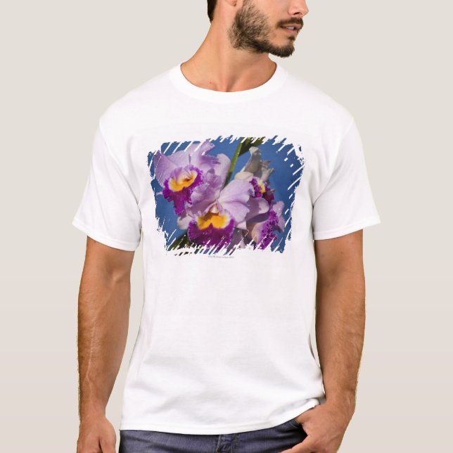 Cattleya Orchid Hybrid With Pacific Ocean T-Shirt (Front)