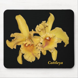 Cattleya Orchid Mousepad