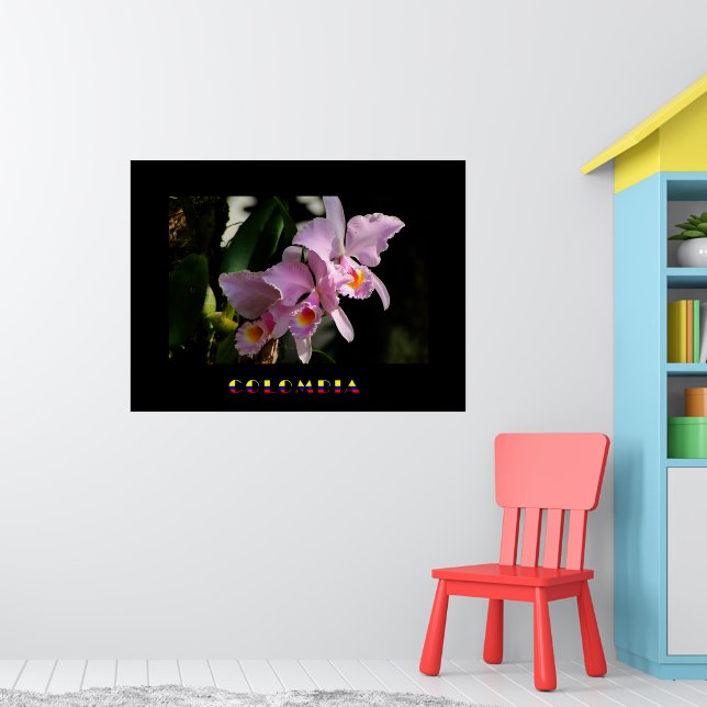 Cattleya Orchid Poster (Nursery 1)