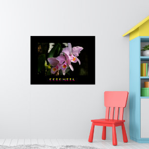 Cattleya Orchid Poster