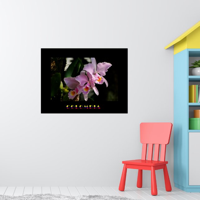 Cattleya Orchid Poster (Nursery 1)