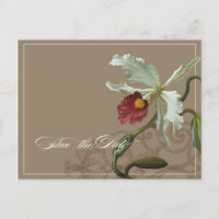 Cattleya Orchid Taupe - Save the Date Postcard