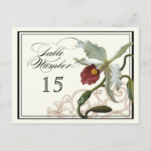 Cattleya Orchid taupe -  Table Placecard Numbers Postcard