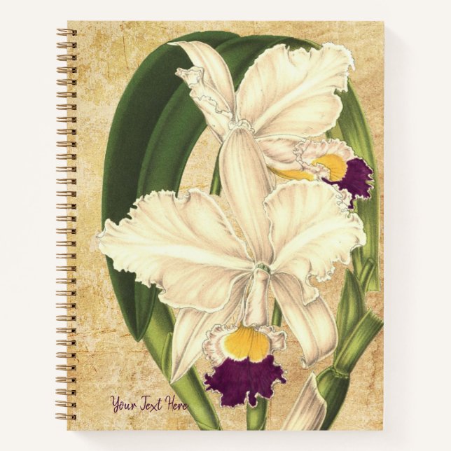 Cattleya quadricolor Spiral Notebook (Front)