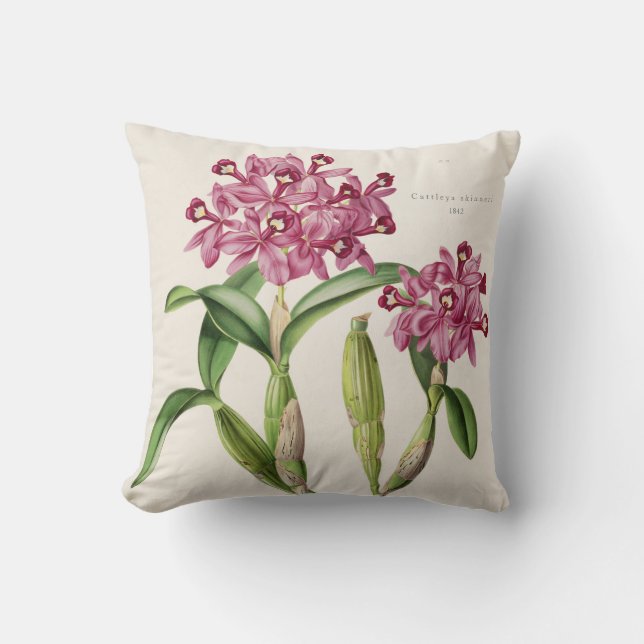 Cattleya skinneri Orchid Botanical 1842 by Bateman Cushion (Front)
