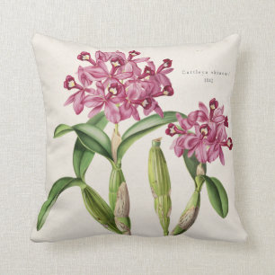Cattleya skinneri Orchid Botanical 1842 by Bateman Cushion