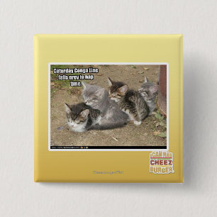 Caturday Conga Line 15 Cm Square Badge