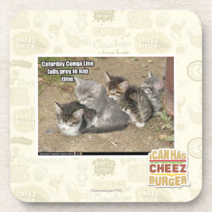 Caturday Conga Line Coaster