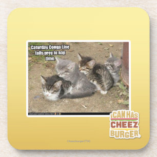 Caturday Conga Line Coaster