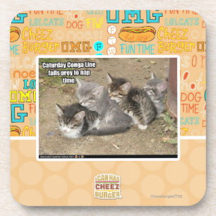 Caturday Conga Line Coaster