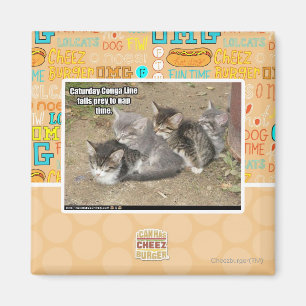 Caturday Conga Line Magnet