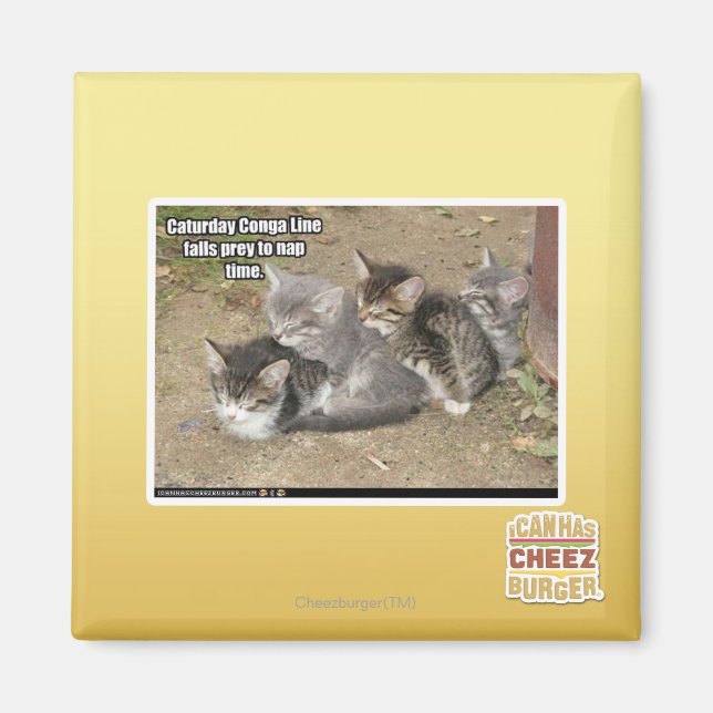 Caturday Conga Line Magnet (Front)