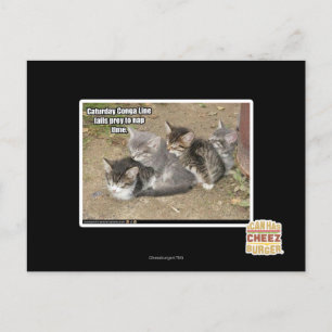 Caturday Conga Line Postcard