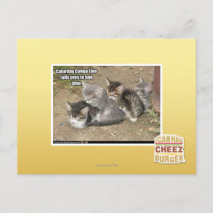 Caturday Conga Line Postcard