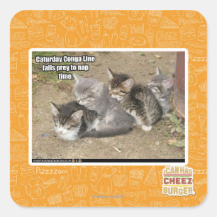 Caturday Conga Line Square Sticker