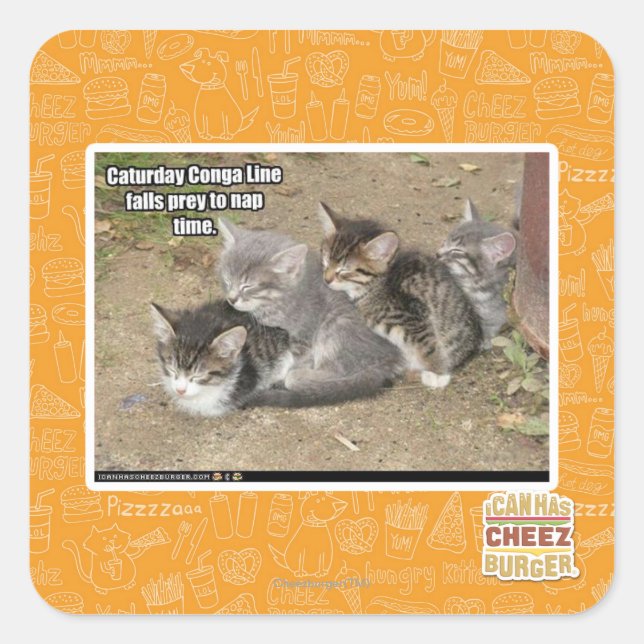 Caturday Conga Line Square Sticker (Front)
