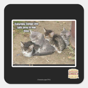 Caturday Conga Line Square Sticker