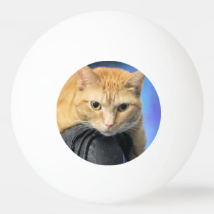 Caturday Ping Pong Ball