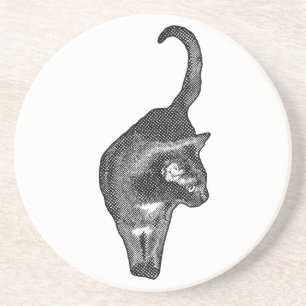 Catwalk Spirit Coaster