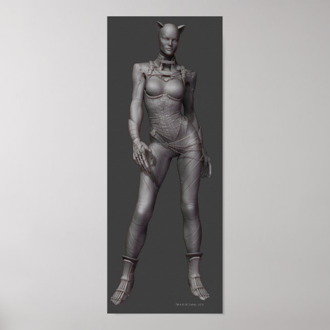 Catwoman Alternate Poster (Front)